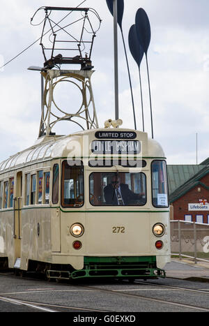 Un double progrès tram voitures voyages le long de la promenade du front de mer de Blackpool, Lancashire, Royaume-Uni dans le cadre d'un week-end de tramway du patrimoine Banque D'Images