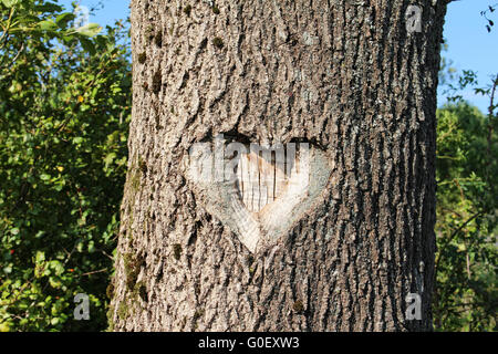 Coeur en bois Banque D'Images