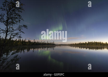 Northern Lights, Laponie, Suède Banque D'Images