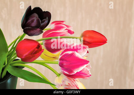 Beau bouquet de tulipes dans un vase en céramique. Banque D'Images