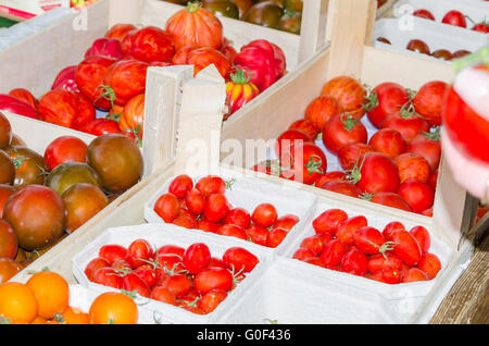 Différentes variétés de tomates. Banque D'Images