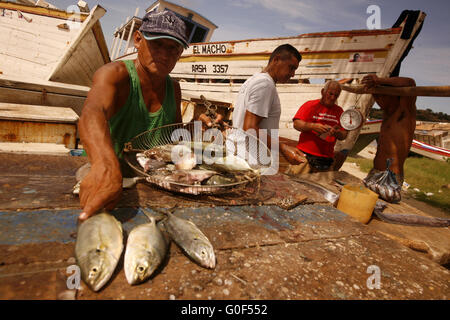 Amérique du Sud VENEZUELA ISLA MARGATITA JUANGRIEGO FISH MARKET Banque D'Images