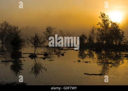 Marsh en Allemagne Banque D'Images