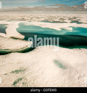 Fiche technique de fusion de la glace dans l'Arctique Banque D'Images