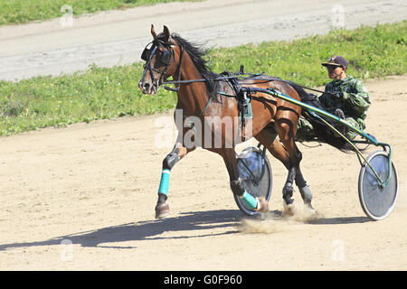 Courses de trot à l'Hippodrome Sibirskoe podvorie Banque D'Images