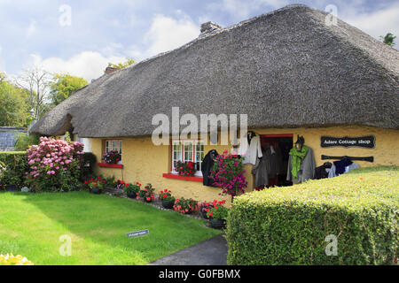 Maisons à toit de chaume de première moitié du xixe siècle en Adare Banque D'Images