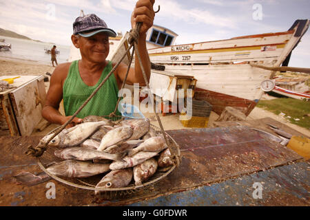 Amérique du Sud VENEZUELA ISLA MARGATITA JUANGRIEGO FISH MARKET Banque D'Images