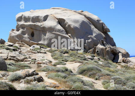 Lavé les rochers de granit et de végétation côtière typique dans la région de Capo Testa sur la Sardaigne Banque D'Images