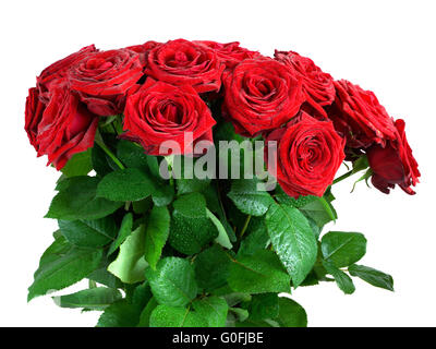 Fleurs bouquet de roses humides rouge isolé sur fond blanc. Grand comme élément de conception ou d'une carte de vœux pour la Saint-Valentin Banque D'Images