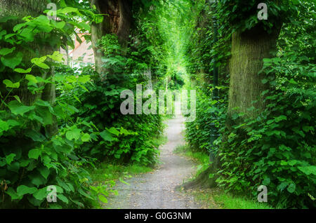 Dans la lumière, Sentier Barbarossa Kaiserswerth de Düsseldorf au mur. Banque D'Images