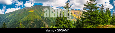 Sommets de montagnes boisées touchées par la lumière du soleil Banque D'Images