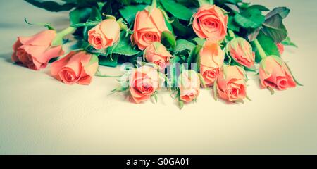 Roses sur le cuir Banque D'Images