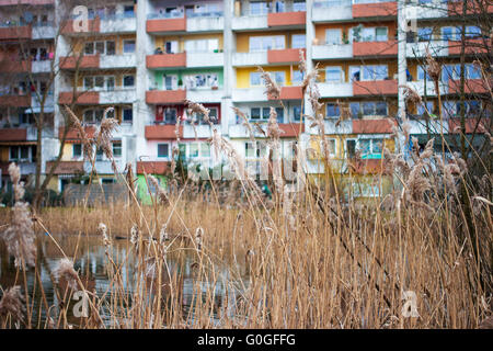 Étang et tenement dans Bonames/Nieder-Eschbach, Francfort, Allemagne Banque D'Images