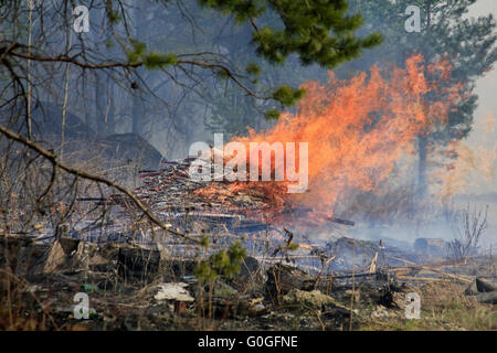 Incendie dans une forêt Banque D'Images