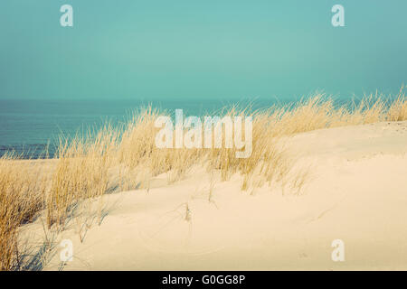Calme plage ensoleillée avec des dunes et de l'herbe. Mer Baltique dans l'arrière-plan. Vintage Banque D'Images