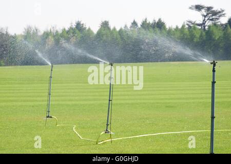 Les robinets d'irrigation de pelouse de pulvérisation Banque D'Images