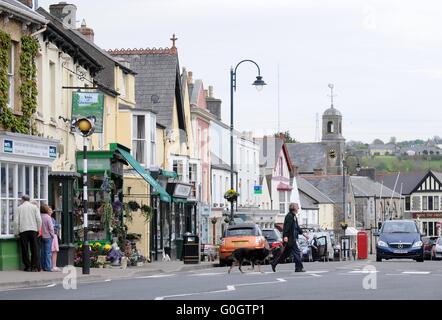 Une vue générale de Cowbridge High Street, dans le sud du Pays de Galles. Banque D'Images