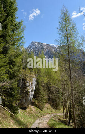 Randonnée pédestre près de Scharitzkehlalm et ci-dessous Hoher Ambient Göll mountain 2 522 m (8 274 ft), Endstal,Alpes de Berchtesgaden, Allemagne Banque D'Images