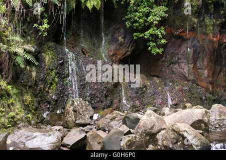 Cascade sur l'île de Madère levada das 25 fontes sur le suivi dans la nature sauvage avec des roches et des pierres rouges Banque D'Images