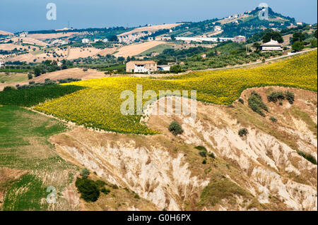 Atri (Parc Naturel de Teramo, Abruzzes, Italie), paysage à l'été. Calanques Banque D'Images