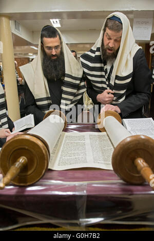 Lecture d'un parchemin de Torah au service matinal de la Pâque en semaine dans une synagogue à Brooklyn, New York. Banque D'Images