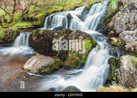 L'eau tombant en cascade sur des rochers Banque D'Images