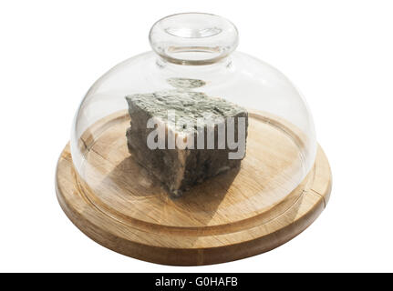 Morceau de fromage blanc moisi sous couvercle en verre sur plateau en bois isolé sur fond blanc Banque D'Images