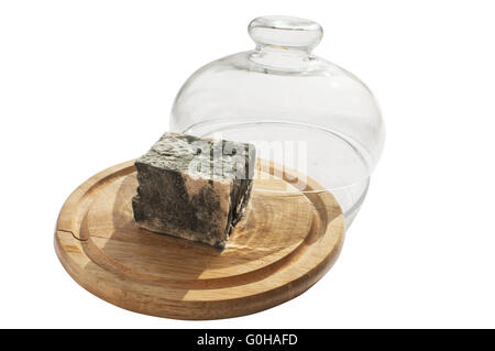 Morceau de fromage blanc moisi sous couvercle en verre sur plateau en bois isolé sur fond blanc Banque D'Images