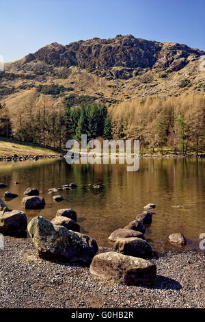 UK,Cumbria,Lake District,Blea Tarn Banque D'Images