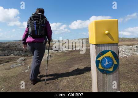 Vue pittoresque de l''Anglesey Sentier du littoral direction, sur la côte ouest de l'île sacrée. Banque D'Images