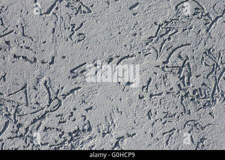 Motif texturé mur avec close up, macro shot Banque D'Images