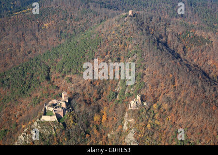 Châteaux d'arbres les Vosges en France Banque D'Images