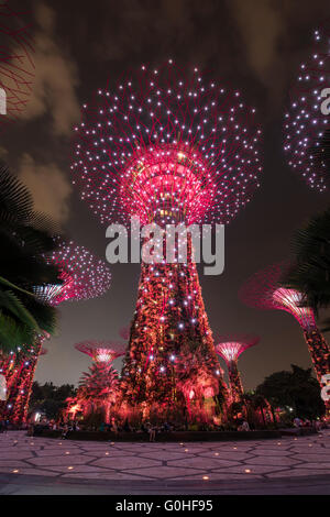 L'Supertree Grove durant la soirée Garden Rhapsody Spectacle son et lumière dans les jardins de la baie, à Singapour Banque D'Images