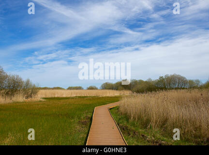 Titchwell Marsh, une réserve naturelle du RSPG sur la côte nord du comté de Norfolk, England UK Banque D'Images