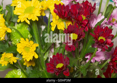Bouquet de fleurs sauvages, de couleurs différentes Banque D'Images