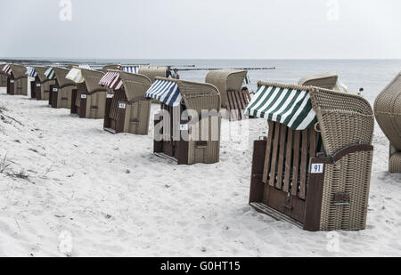 Épis sur la côte de la mer Baltique Banque D'Images