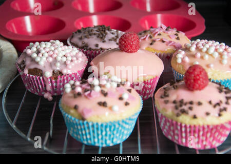 Muffin maison Banque D'Images
