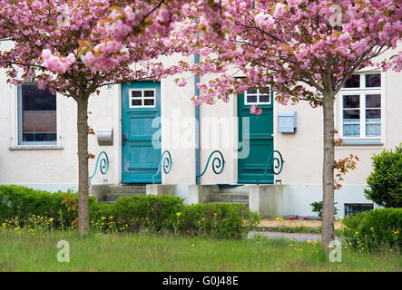 Le Brandebourg, Allemagne - 30 Avril 2016 : mer Vintage-vert les portes d'entrée dans un village composé de fleurs de cerisiers dans le Banque D'Images