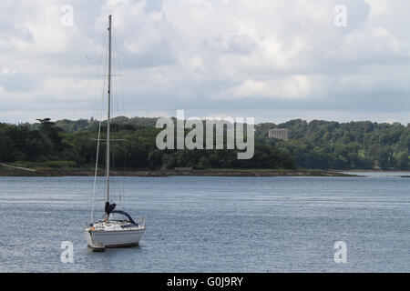 Voir l'ensemble de Strangford Lough, comté de Down, Irlande du Nord, avec Castleward dans l'arrière-plan. Banque D'Images