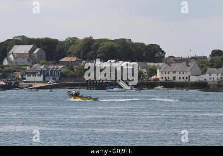 À l'échelle de l'Strangford Lough (Portaferry côté) au village de Strangford, comté de Down, Irlande du Nord. Banque D'Images