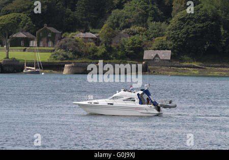 À l'échelle de l'Strangford Lough (Portaferry côté) au village de Strangford, comté de Down, Irlande du Nord. Banque D'Images