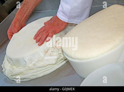 Part de hauts experts fromagers contrôle la roue de fromage juste fait dans le lait de montagne Banque D'Images