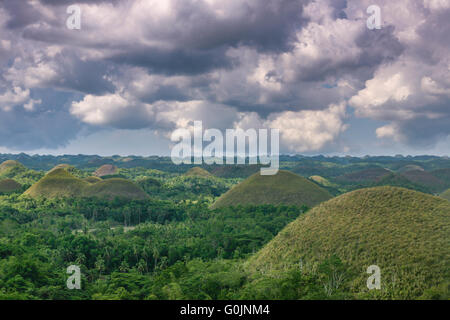 Les collines de chocolat de Bohol Philippines, Bohol's plus célèbre attraction touristique, et une structure géologique très étrange Adrian Bak Banque D'Images