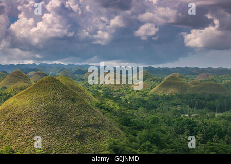 Les collines de chocolat de Bohol Philippines, Bohol's plus célèbre attraction touristique, et une structure géologique très étrange Adrian Bak Banque D'Images