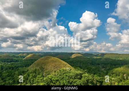 Les collines de chocolat de Bohol Philippines, Bohol's plus célèbre attraction touristique, et une structure géologique très étrange Adrian Bak Banque D'Images