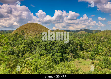 Les collines de chocolat de Bohol Philippines, Bohol's plus célèbre attraction touristique, et une structure géologique très étrange Adrian Bak Banque D'Images