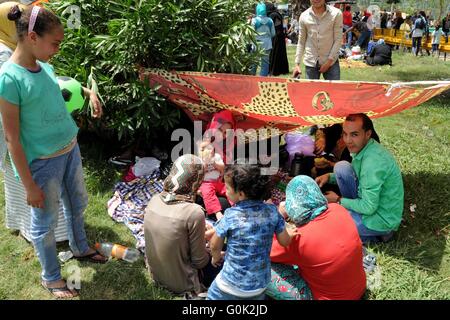 Le Caire, Égypte. 2 mai, 2016. Les Egyptiens se rassemblent à un marquage jardin Sham El Nessim, ou sentir la brise qui marque le début du printemps, au Caire, le 02 mai 2016 Crédit : Amr Sayed/APA/Images/fil ZUMA Alamy Live News Banque D'Images