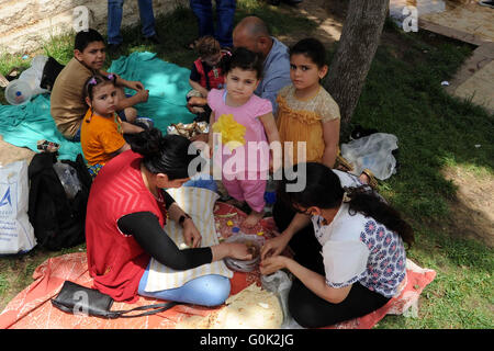 Le Caire, Égypte. 2 mai, 2016. Les Egyptiens se rassemblent à un marquage jardin Sham El Nessim, ou sentir la brise qui marque le début du printemps, au Caire, le 02 mai 2016 Crédit : Amr Sayed/APA/Images/fil ZUMA Alamy Live News Banque D'Images