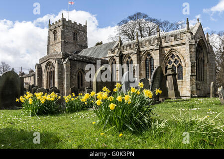 Église Romaldkirk Teesdale, County Durham, Royaume-Uni. Vacances de banque lundi 2 mai 2016. Météo britannique. Après un week-end enneigé et parfois dans le North Pennines enfin le soleil fait une apparition. Bien que dans de nombreuses parties de l'UK les jonquilles ont fleuri et sont mortes, dans le petit village de Romaldkirk où le temps a été beaucoup plus froid qu'ils sont encore en fleurs. Crédit : David Forster/Alamy Live News Banque D'Images