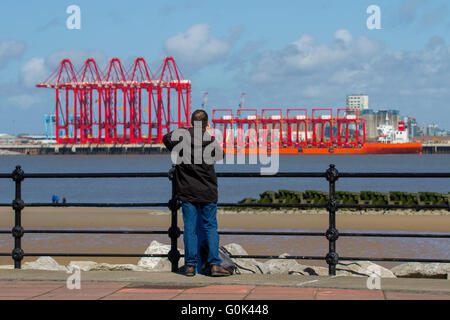 Grues opérationnelles sur portique à porte-à-faux (CRMG) à Liverpool, Merseyside, Royaume-Uni, 2 mai 2016. Des grues chinoises en acier arrivent dans le Mersey. Le bateau Zhen Hua part d'un quai à Nantong, en Chine, transportant six grues qui seront utilisées pour le projet de construction du terminal de conteneurs en eau profonde Liverpool2 de 300 millions de livres. Le projet, dirigé par Peel ports, vise à approfondir l'estuaire de Mersey afin qu'il puisse accueillir certains des plus grands bateaux du monde. Au total, huit grues ‘megamax’ navire-terre et 22 grues portiques en porte-à-faux montées sur rail sont fournies aux ports Peel dans le cadre de Liverpool2. Banque D'Images